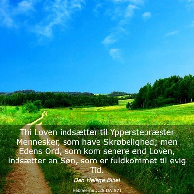 Picture 03 - Hebræerne 7:28 DA1871 - Thi Loven indsætter til Ypperstepræster - Bible Verse Picture