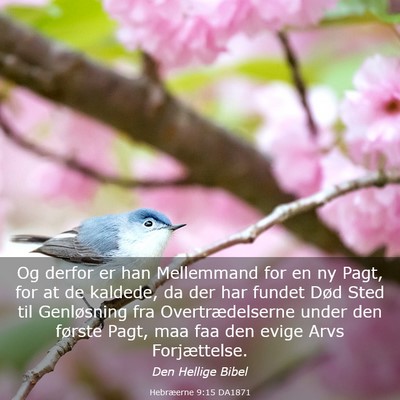 Picture 03 - Hebræerne 9:15 DA1871 - Og derfor er han Mellemmand for en ny Pagt, for - Bible Verse Picture