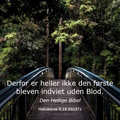 Picture 03 - Hebræerne 9:18 DA1871 - Derfor er heller ikke den første bleven indviet - Bible Verse Picture