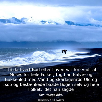 Picture 03 - Hebræerne 9:19 DA1871 - Thi da hvert Bud efter Loven var forkyndt af - Bible Verse Picture