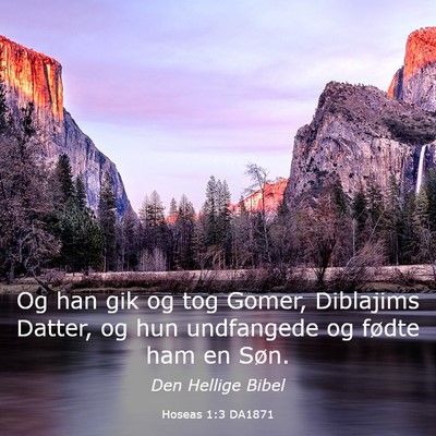 Picture 03 - Hoseas 1:3 DA1871 - Og han gik og tog Gomer, Diblajims Datter, og hun - Bible Verse Picture