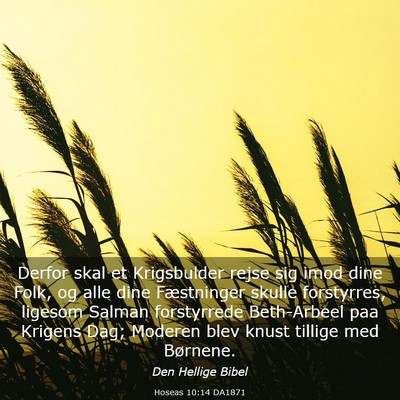 Picture 03 - Hoseas 10:14 DA1871 - Derfor skal et Krigsbulder rejse sig imod dine - Bible Verse Picture