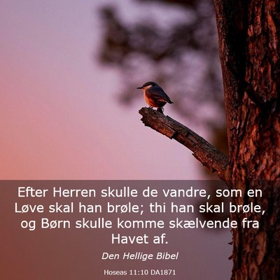 Picture 03 - Hoseas 11:10 DA1871 - Efter Herren skulle de vandre, som en Løve skal - Bible Verse Picture