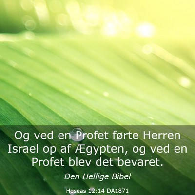 Picture 03 - Hoseas 12:14 DA1871 - Og ved en Profet førte Herren Israel op af - Bible Verse Picture