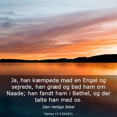 Picture 03 - Hoseas 12:5 DA1871 - Ja, han kæmpede med en Engel og sejrede, han - Bible Verse Picture