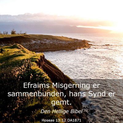 Picture 03 - Hoseas 13:12 DA1871 - Efraims Misgerning er sammenbunden, hans Synd er - Bible Verse Picture