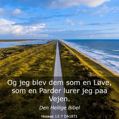 Picture 03 - Hoseas 13:7 DA1871 - Og jeg blev dem som en Løve, som en Parder lurer - Bible Verse Picture