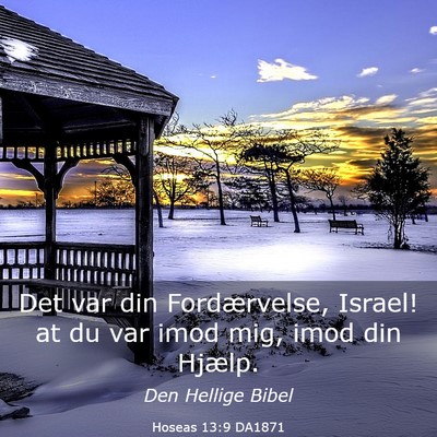 Picture 03 - Hoseas 13:9 DA1871 - Det var din Fordærvelse, Israel! at du var imod - Bible Verse Picture