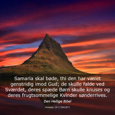Picture 03 - Hoseas 14:1 DA1871 - Samaria skal bøde, thi den har været genstridig - Bible Verse Picture