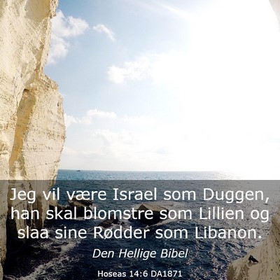 Picture 03 - Hoseas 14:6 DA1871 - Jeg vil være Israel som Duggen, han skal - Bible Verse Picture