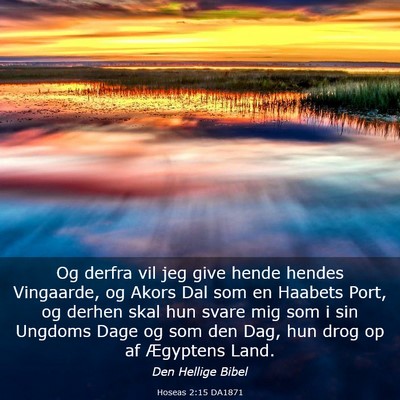 Picture 03 - Hoseas 2:15 DA1871 - Og derfra vil jeg give hende hendes Vingaarde, og - Bible Verse Picture