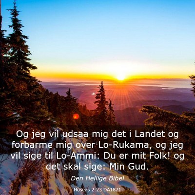 Picture 03 - Hoseas 2:23 DA1871 - Og jeg vil udsaa mig det i Landet og forbarme mig - Bible Verse Picture