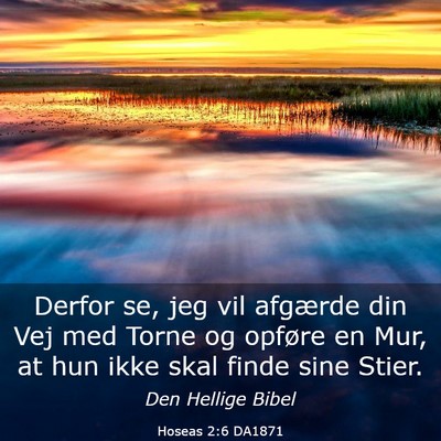 Picture 03 - Hoseas 2:6 DA1871 - Derfor se, jeg vil afgærde din Vej med Torne og - Bible Verse Picture