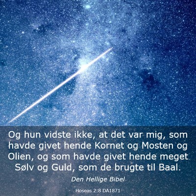 Picture 03 - Hoseas 2:8 DA1871 - Og hun vidste ikke, at det var mig, som havde - Bible Verse Picture