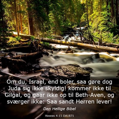 Picture 03 - Hoseas 4:15 DA1871 - Om du, Israel, end boler, saa gøre dog Juda sig - Bible Verse Picture