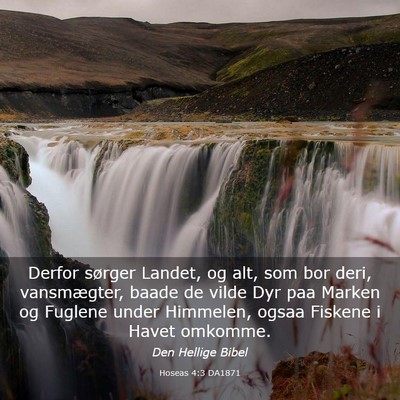 Picture 03 - Hoseas 4:3 DA1871 - Derfor sørger Landet, og alt, som bor deri, - Bible Verse Picture