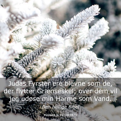Picture 03 - Hoseas 5:10 DA1871 - Judas Fyrster ere blevne som de, der flytter - Bible Verse Picture