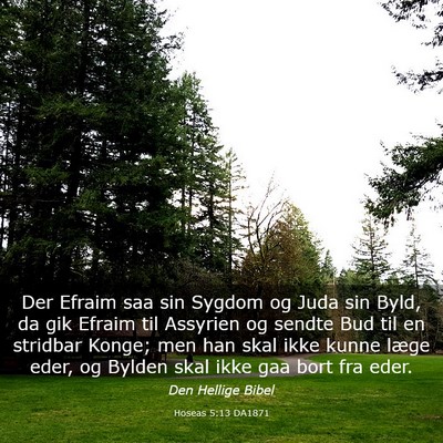 Picture 03 - Hoseas 5:13 DA1871 - Der Efraim saa sin Sygdom og Juda sin Byld, da - Bible Verse Picture