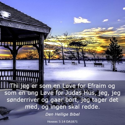 Picture 03 - Hoseas 5:14 DA1871 - Thi jeg er som en Løve for Efraim og som en ung - Bible Verse Picture
