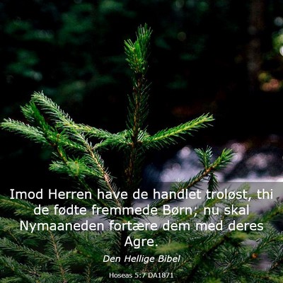 Picture 03 - Hoseas 5:7 DA1871 - Imod Herren have de handlet troløst, thi de - Bible Verse Picture