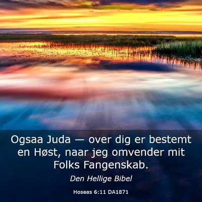 Picture 03 - Hoseas 6:11 DA1871 - Ogsaa Juda — over dig er bestemt en Høst, naar - Bible Verse Picture