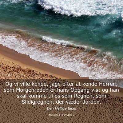 Picture 03 - Hoseas 6:3 DA1871 - Og vi ville kende, jage efter at kende Herren, - Bible Verse Picture