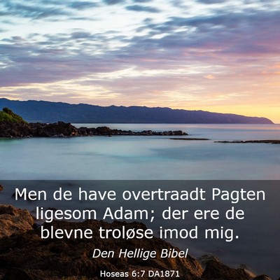Picture 03 - Hoseas 6:7 DA1871 - Men de have overtraadt Pagten ligesom Adam; der - Bible Verse Picture