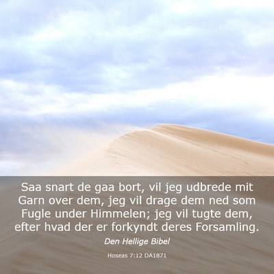 Picture 03 - Hoseas 7:12 DA1871 - Saa snart de gaa bort, vil jeg udbrede mit Garn - Bible Verse Picture
