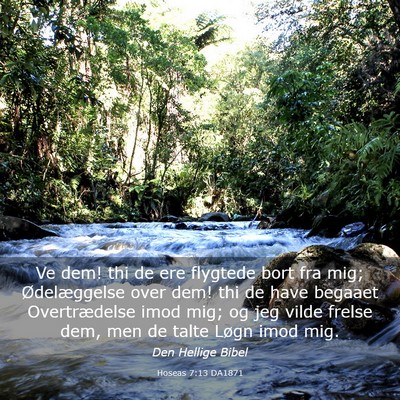 Picture 03 - Hoseas 7:13 DA1871 - Ve dem! thi de ere flygtede bort fra mig; - Bible Verse Picture