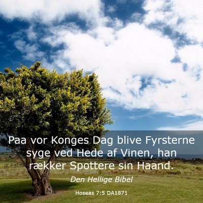 Picture 03 - Hoseas 7:5 DA1871 - Paa vor Konges Dag blive Fyrsterne syge ved Hede - Bible Verse Picture