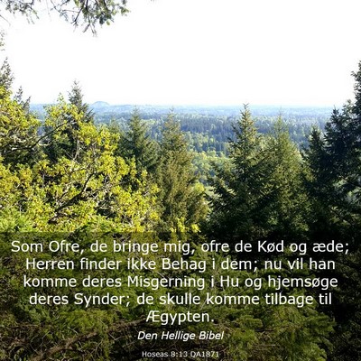 Picture 03 - Hoseas 8:13 DA1871 - Som Ofre, de bringe mig, ofre de Kød og æde; - Bible Verse Picture