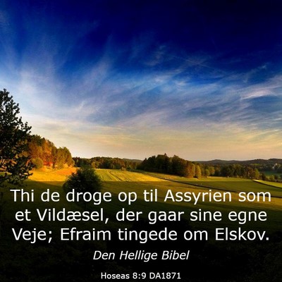 Picture 03 - Hoseas 8:9 DA1871 - Thi de droge op til Assyrien som et Vildæsel, - Bible Verse Picture
