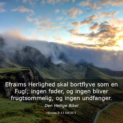 Picture 03 - Hoseas 9:11 DA1871 - Efraims Herlighed skal bortflyve som en Fugl; - Bible Verse Picture