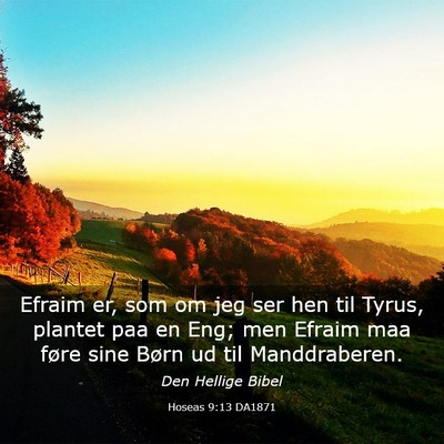 Picture 03 - Hoseas 9:13 DA1871 - Efraim er, som om jeg ser hen til Tyrus, plantet - Bible Verse Picture