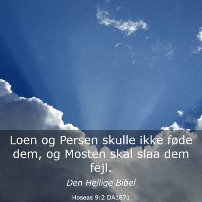 Picture 03 - Hoseas 9:2 DA1871 - Loen og Persen skulle ikke føde dem, og Mosten - Bible Verse Picture