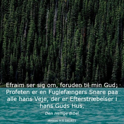 Picture 03 - Hoseas 9:8 DA1871 - Efraim ser sig om, foruden til min Gud; Profeten - Bible Verse Picture