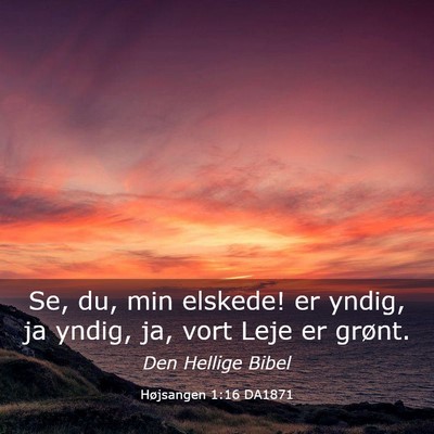 Picture 03 - Højsangen 1:16 DA1871 - Se, du, min elskede! er yndig, ja yndig, ja, vort - Bible Verse Picture