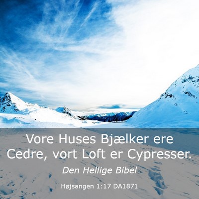 Picture 03 - Højsangen 1:17 DA1871 - Vore Huses Bjælker ere Cedre, vort Loft er - Bible Verse Picture