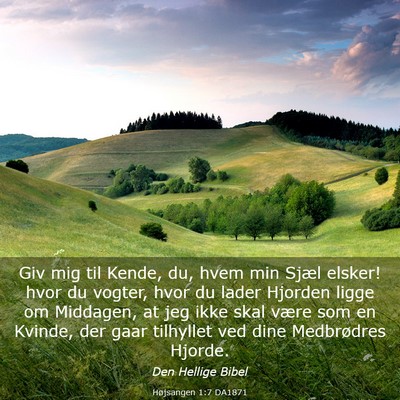 Picture 03 - Højsangen 1:7 DA1871 - Giv mig til Kende, du, hvem min Sjæl elsker! - Bible Verse Picture