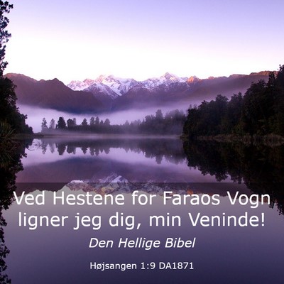 Picture 03 - Højsangen 1:9 DA1871 - Ved Hestene for Faraos Vogn ligner jeg dig, min - Bible Verse Picture