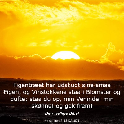 Picture 03 - Højsangen 2:13 DA1871 - Figentræet har udskudt sine smaa Figen, og - Bible Verse Picture