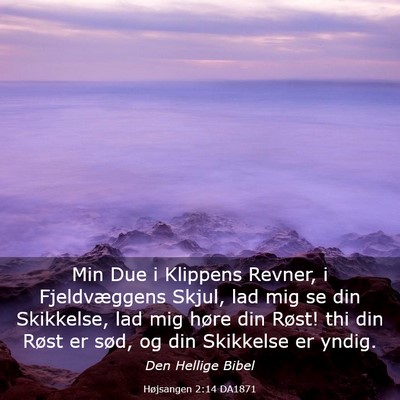 Picture 03 - Højsangen 2:14 DA1871 - Min Due i Klippens Revner, i Fjeldvæggens Skjul, - Bible Verse Picture