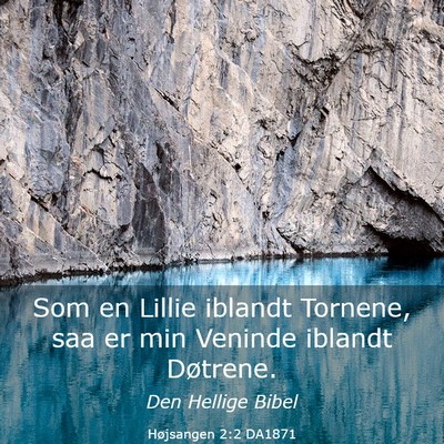 Picture 03 - Højsangen 2:2 DA1871 - Som en Lillie iblandt Tornene, saa er min Veninde - Bible Verse Picture