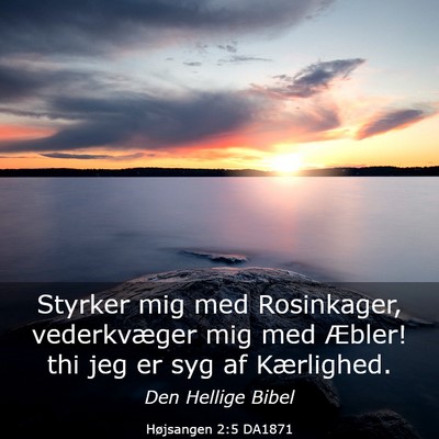Picture 03 - Højsangen 2:5 DA1871 - Styrker mig med Rosinkager, vederkvæger mig med - Bible Verse Picture
