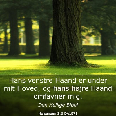 Picture 03 - Højsangen 2:6 DA1871 - Hans venstre Haand er under mit Hoved, og hans - Bible Verse Picture