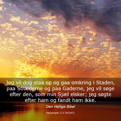 Picture 03 - Højsangen 3:2 DA1871 - Jeg vil dog staa op og gaa omkring i Staden, paa - Bible Verse Picture