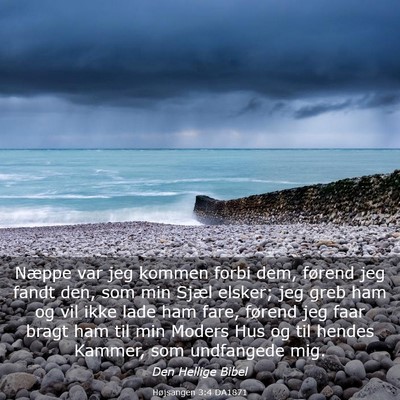 Picture 03 - Højsangen 3:4 DA1871 - Næppe var jeg kommen forbi dem, førend jeg - Bible Verse Picture