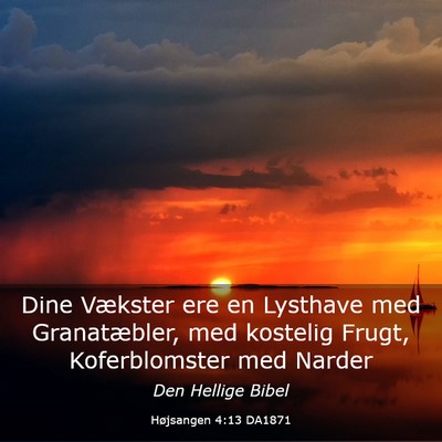Picture 03 - Højsangen 4:13 DA1871 - Dine Vækster ere en Lysthave med Granatæbler, - Bible Verse Picture