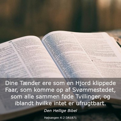 Picture 03 - Højsangen 4:2 DA1871 - Dine Tænder ere som en Hjord klippede Faar, som - Bible Verse Picture
