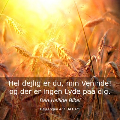 Picture 03 - Højsangen 4:7 DA1871 - Hel dejlig er du, min Veninde! og der er ingen - Bible Verse Picture